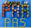 SAF entrega 35 toneladas de alimentos da agricultura familiar em Teresina nesta quinta-feira