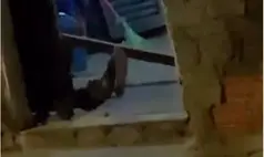 Homem é morto a tiros dentro de residência na zona Leste de Teresina