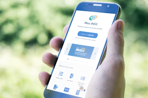 Aplicativo do INSS (Foto: Reprodução | gov.br)