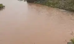 Chuvas intensas renovam esperança em Dom Inocêncio após período de seca