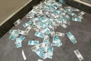 Dinheiro jogado e recolhido pela Polícia Federal (Foto: PF)