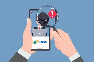 Força-tarefa previdenciária desarticula organização criminosa no Piauí ( INSS ) (Foto: INSS)