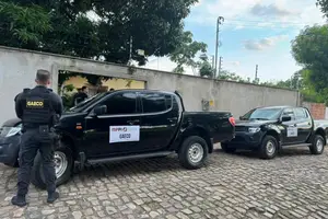 GAECO-PI (Foto: GAECO-PI)