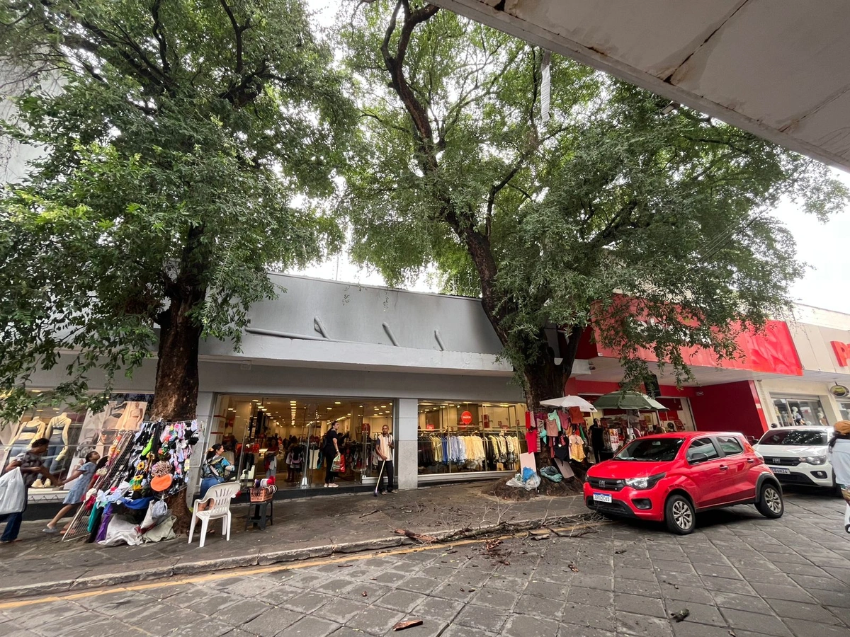 Galho de árvore caiu na manhã deste sábado, 14, na Rua Álvaro Mendes, na região central de Teresina