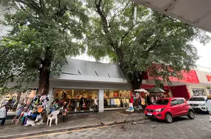 Galho de árvore caiu na manhã deste sábado, 14, na Rua Álvaro Mendes, na região central de Teresina (Foto: Reprodução)