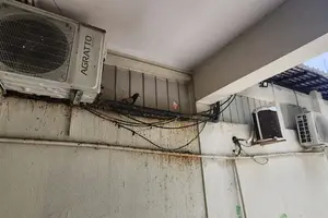 Hospital do Buenos Aires como criatório de pombos (Foto: Revista40graus)