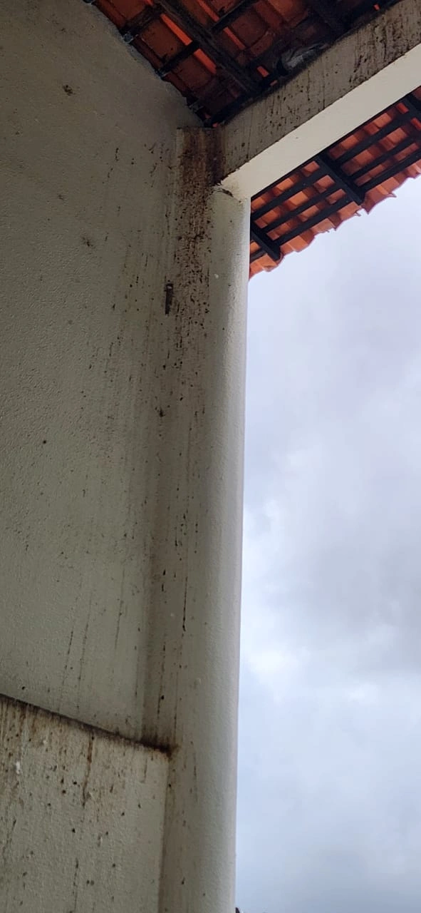 Hospital do Buenos Aires como criatório de pombos