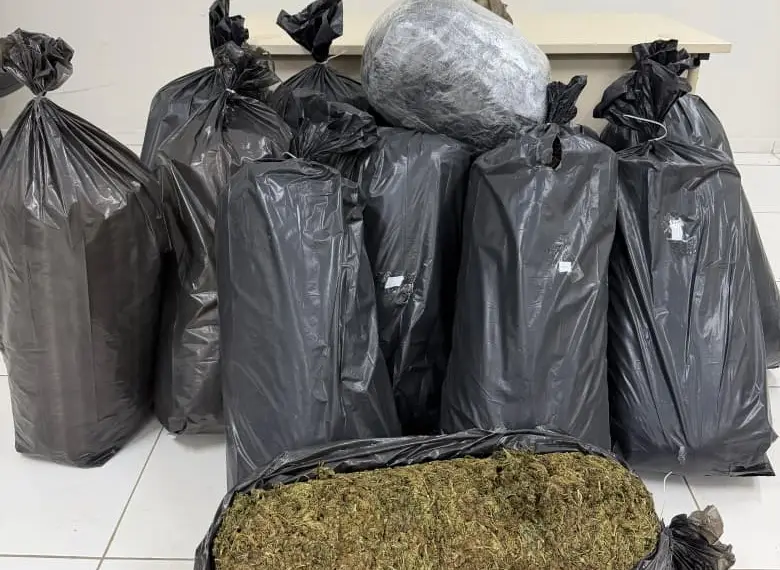 Motorista é preso transportando 121 kg de maconha