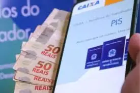 Pis/Pasep (Foto: Reprodução)