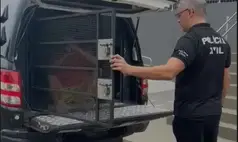 Justiça faz visita surpresa e dois valentões acabam atrás das grades