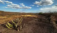 Piauí zera seca extrema após sete meses, mas cenário ainda exige atenção