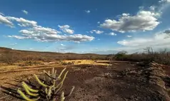 Seca e mudanças climáticas no Piauí