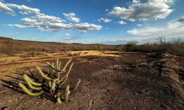 Piauí zera seca extrema após sete meses, mas cenário ainda exige atenção