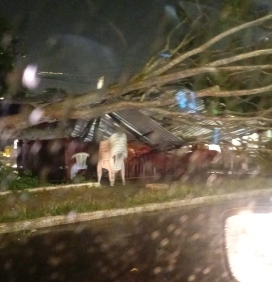 Temporal causa alagamentos e derruba árvore na Zona Leste de Teresina e provoa transtorno centro