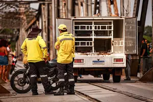 Universitária morre ao cair de moto na Ponte Metálica; ia para vaga de emprego (Foto: Reprodução)