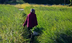 Como a guerra no Oriente Médio pode afetar o preço da comida no mundo