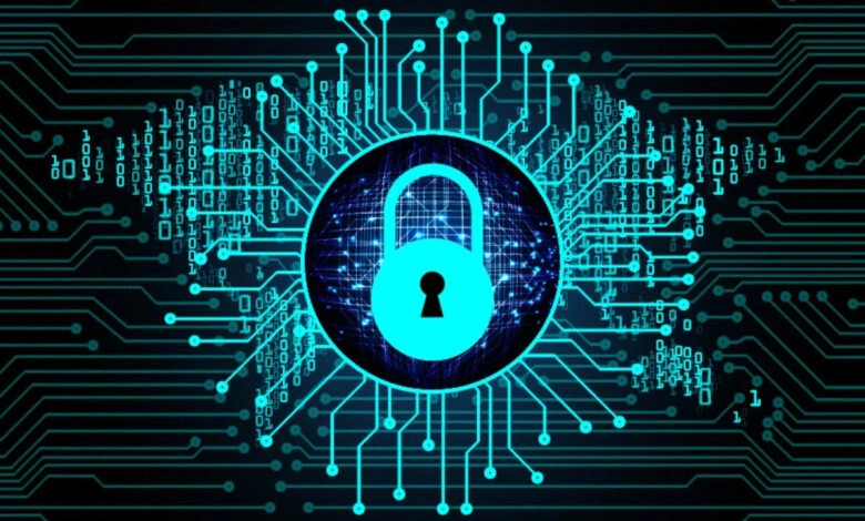 Lei 15.352 transforma ANPD em agência e cria 200 cargos por concurso