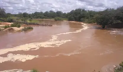 Chuva Transforma a Realidade dos Produtores de Dom Inocêncio e Região
