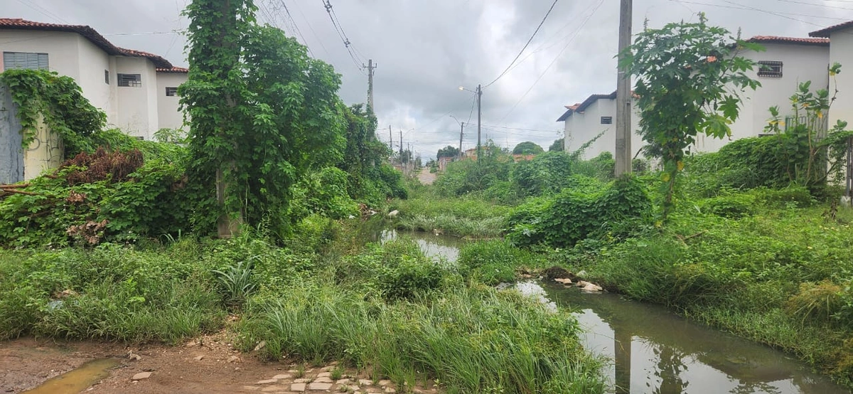 Residencial Torquato Neto e o abandono institucional da prefeitura de Teresina