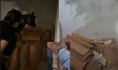 Família é presa por tráfico e estratégia não resiste ao faro da polícia