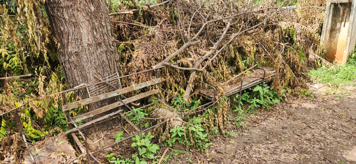 Abandono do campo de futebol no bairro Santo Antônio