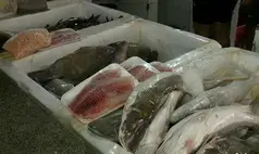 Mercado do Peixe registra filas e alta nos preços na Semana Santa em Teresina
