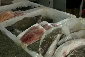 Banca no Mercado Peixe (Foto: Reprodução)