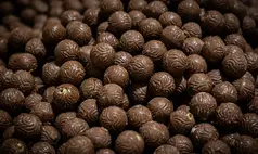 Senado aprova novas regras para chocolate com mínimo de cacau