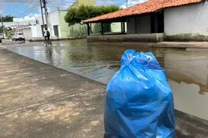 Dengue sobe 470% em Parnaíba (Foto: Reprodução)