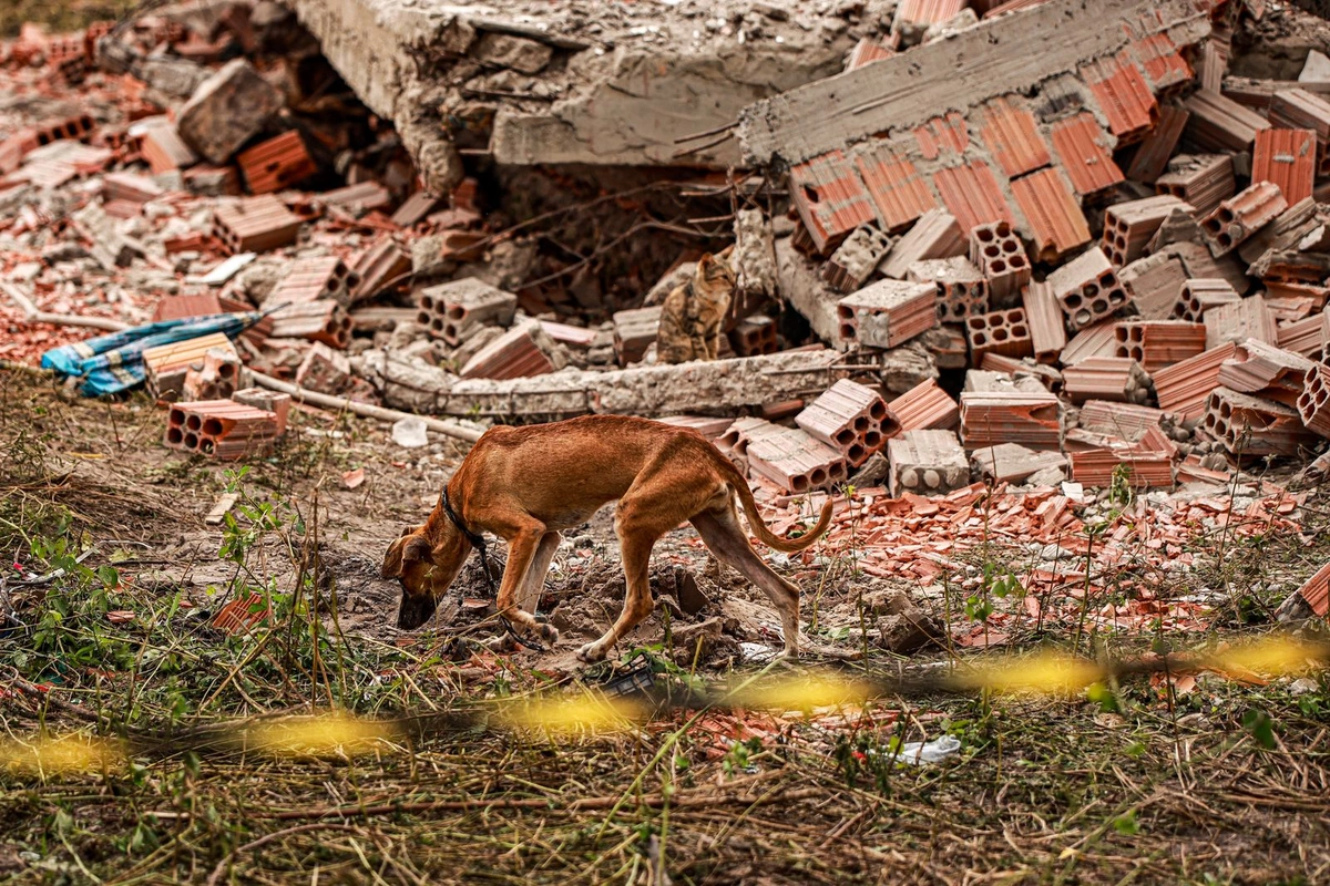 Moradores do bairro Vila França, em Barras, no Norte do Piauí, relataram momentos de desespero após um sobrado desabar sobre uma família na madrugada desta segunda-feira (20)