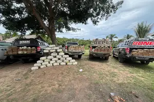 Operação encontra mais 600 kg de drogas enterradas em sítio em Caxias (DENARC, DRACO, BEPI, RONE) (Foto: SSP-PI)
