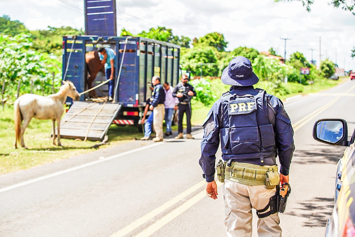 Operação Porteira Fechada coordenada pelo DOT/SSP-PI/PRF