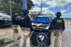 PRF apreende skunk a supermaconha (Foto: PRF)