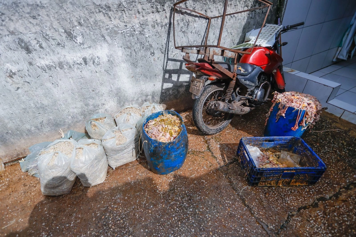 Um abatedouro clandestino de aves localizado no Parque Eliane, na zona Sul de Teresina, foi fechado nesta sexta-feira (24)