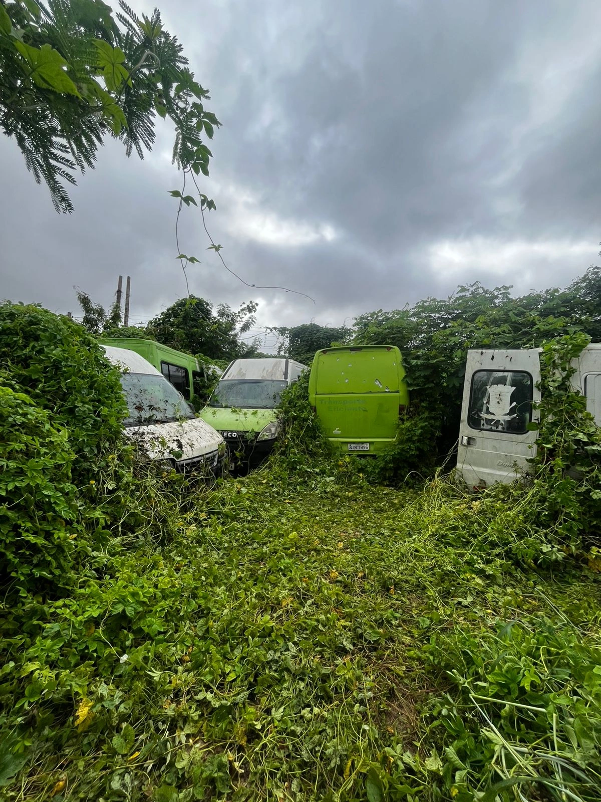 Veículos abandonados pela prefeitura de Teresina de acordo com a empresa Santa Cruz