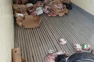Carga de carne bovina transportada sem refrigeração adequada e com prazo de validade vencido foi apreendida neste sábado (23) (Foto: ADAPI)