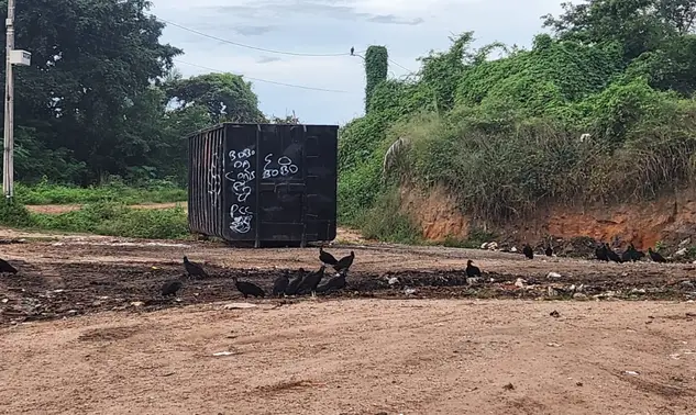 Grande Santa Maria da Codipe cobra solução para ponto de lixo sem estrutura