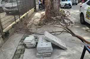 Revitalização fake do centro de Teresina (Foto: Revista40graus)