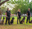 Teresina recebe curso nacional que fortalece buscas por desaparecidos com cães farejadores