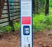 Totem inteligente reforça segurança na Av. Marechal Castelo Branco