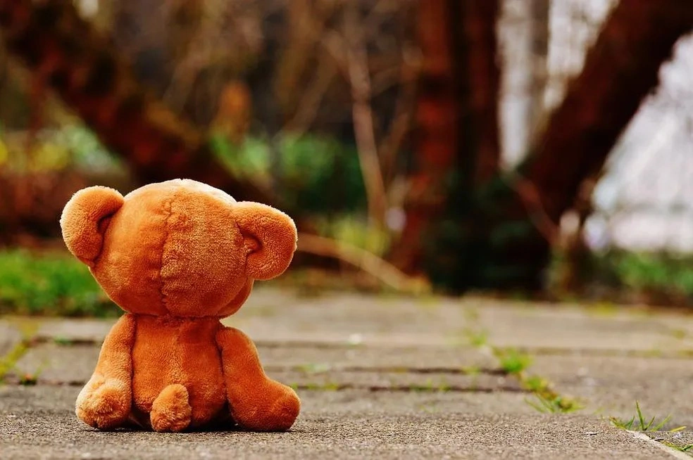 Urso de pelúcia; brinquedo; criança; infantil