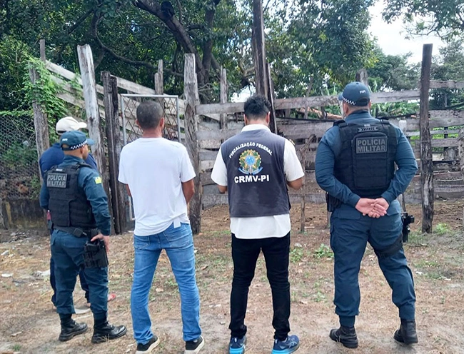 Fiscalização encontra irregularidades em 10 abatedouros no município de Barras diz CRMV