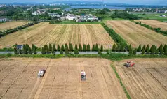 Plano da China por autossuficiência alimentar acende alerta para o agro brasileiro