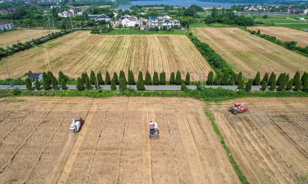 Plano da China por autossuficiência alimentar acende alerta para o agro brasileiro