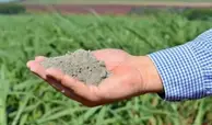 Pó de rocha ganha espaço no campo e reduz dependência brasileira de fertilizantes importados