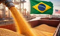 CNA estima que 36,5% das exportações do agro aos EUA serão afetadas por nova tarifa