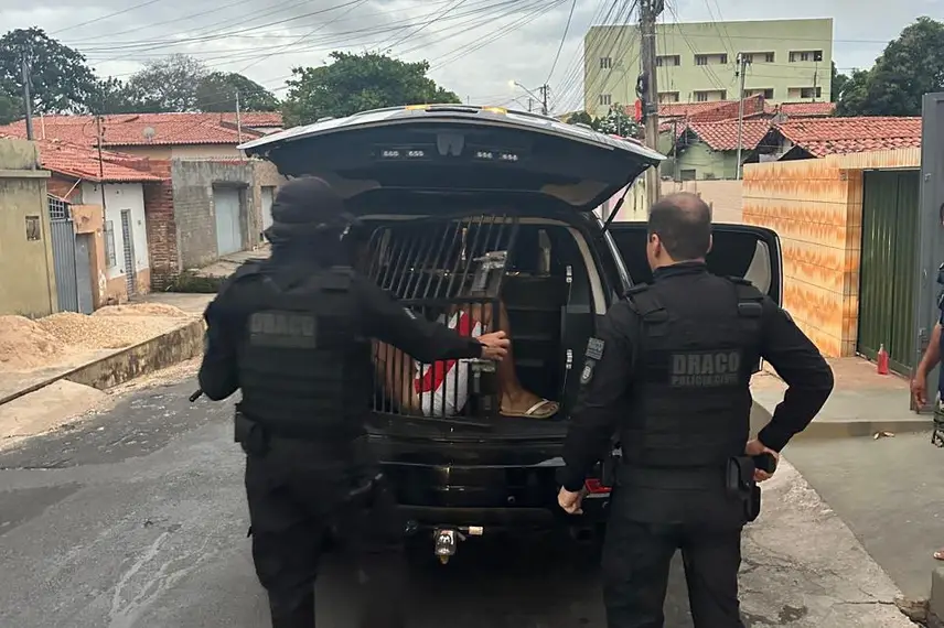 Polícia desarticula esquema de golpes com troca ilegal de chips em Teresina