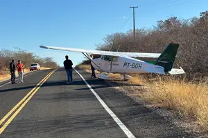 Um avião monomotor realizou um pouso forçado no trecho da PI-229 (Foto: Reprodução)