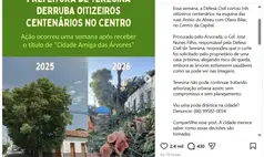 Corte de árvores reacende debate sobre falta de política de arborização em Teresina